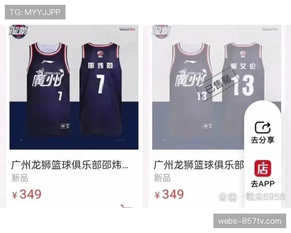 球衣销售数据:技术型球员与强力中锋的球衣销量,反映球迷偏好 球衣销售数据:技术型球员与强力中锋的球衣销量,反映球迷偏好